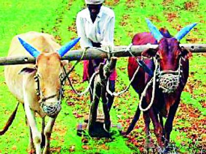 Farmers are still in financial crisis | शेतकरी यंदाही आर्थिक संकटात