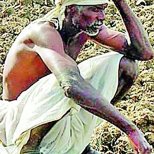 The victims of the paddy affair are 17 crores | धानपीक नुकसानग्रस्तांना हवे १७ कोटी