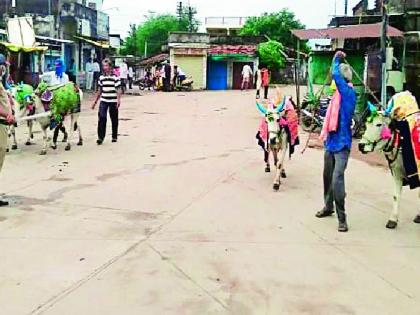 A Pola of large bulls in the corona | कोरोनाच्या सावटात मोठ्या बैलांचा पोळा A Pola of large bulls in the corona | कोरोनाच्या सावटात मोठ्या बैलांचा पोळा
