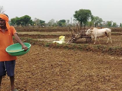 Anxiety over heavy rains; The weather forecast turned out to be false |  पावसाची दडी, अनेकांनी पेरण्या आटोपल्याने चिंता; हवामानाचा अंदाज खोटा ठरला