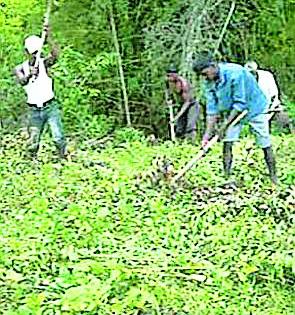 Wage labor | निधीअभावी रखडली मजुरी