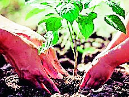 The mini ministry will plant six lakh trees | मिनी मंत्रालय करणार सहा लाख वृक्षलागवड