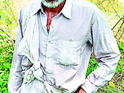 Waiting for the tenth green list for the farmers | शेतकऱ्यांना दहाव्या ‘ग्रीन लिस्ट’ची प्रतीक्षा