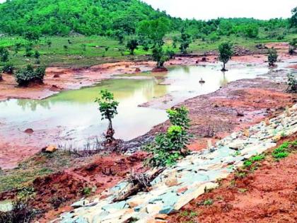 Due to heavy rains the forest lakes have flown | मुसळधार पावसामुळे वन तलाव फुटले