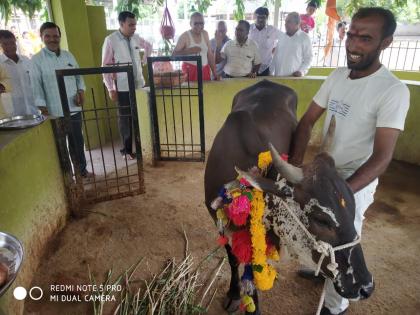 Jyeshtha Dhubhishek Function at Balaji Temple | बालाजी मंदिरात ज्येष्ठाभिषेकम सोहळा