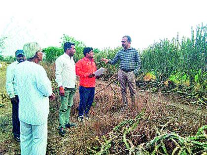 Nandurvaidya to Nandgaon Bou. Survey by road organizers | नांदूरवैद्य ते नांदगाव बु. रस्त्याची प्रांताधिकाऱ्यांकडून पाहणी