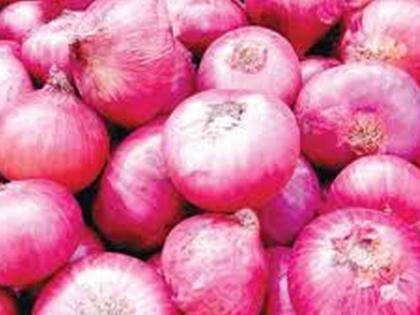 Theft of six quintals of onion in Navapur | नवापुरात व्यापाऱ्याच्या सहा क्विंटल ‘कांद्या’ची चोरी Theft of six quintals of onion in Navapur | नवापुरात व्यापाऱ्याच्या सहा क्विंटल ‘कांद्या’ची चोरी