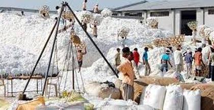 Taloda market committee's proposal for cotton procurement center is pending | तळोदा बाजार समितीच्या कापूस खरेदी केंद्राचा प्रस्ताव प्रलंबित Taloda market committee's proposal for cotton procurement center is pending | तळोदा बाजार समितीच्या कापूस खरेदी केंद्राचा प्रस्ताव प्रलंबित