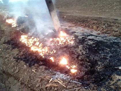 One and a half million ducts drip into the fire | दीड लाखाच्या ठिबक नळ्या आगीत खाक One and a half million ducts drip into the fire | दीड लाखाच्या ठिबक नळ्या आगीत खाक