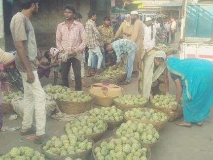 Ranveva Market in Satpudi entered the market | सातपुडय़ातील रानमेवा बाजारपेठेत दाखल