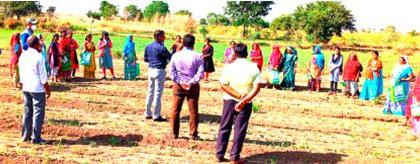 Women's Agricultural School in Waghale Shivara by the Department of Agriculture | वाघाळे शिवारात कृषी विभागातर्फे महिला शेतीशाळा Women's Agricultural School in Waghale Shivara by the Department of Agriculture | वाघाळे शिवारात कृषी विभागातर्फे महिला शेतीशाळा