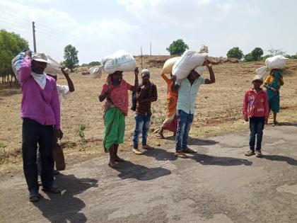 Aboriginal laborers also felt the burden of their homes on the backdrop of poor workers | ऊसतोड कामगारांच्या धर्तीवर आदिवासी मजूरांनाही लागली घरची ओढ