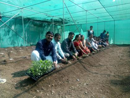  Chilli seedlings are planted in Pimpalgaon High School | पिंपळगांव हायस्कुलमध्ये मिरची रोपांची लागवड