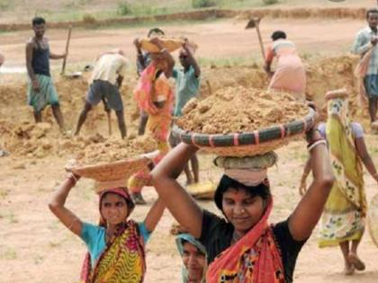 Work of employment guarantee scheme stalled | रोजगार हमी योजनेची कामे ठप्प