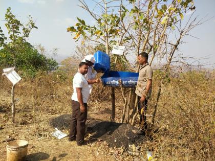 Water supply for birds in Waghera Ghat area | वाघेरा घाट परिसरात पक्ष्यांसाठी पाण्याची व्यवस्था