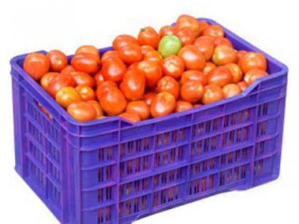 Farmers suffer from tomato crate thefts | टमाटाच्या क्रेट चोऱ्यांनी शेतकरी त्रस्त