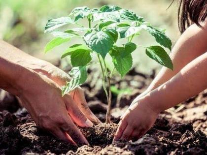 Tree planting activity on the occasion of Shiva Jayanti | शिवजयंतीनिमित्त वृक्ष लागवडीचा उपक्रम