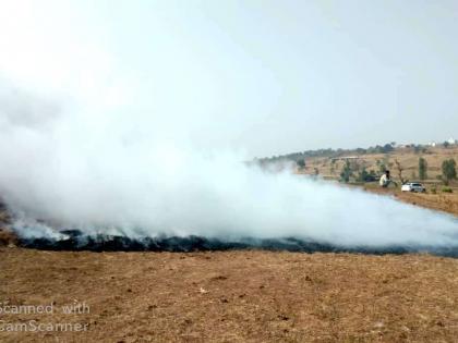 Start of Raab Bhajan in Igatpuri taluka | इगतपुरी तालुक्यात राब भाजणीस प्रारंभ