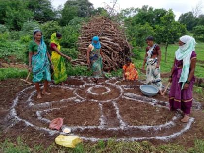 Nutrition Diet Garden Campaign | पोषण आहार परसबाग अभियान