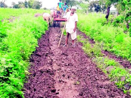 The ‘wait’ for farming is dire | शेतपांदणीची ‘वाट’ बिकट The ‘wait’ for farming is dire | शेतपांदणीची ‘वाट’ बिकट