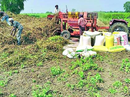 Bonus racket for soybean growers! | सोयाबीन उत्पादकांना बोनसचा दगा!