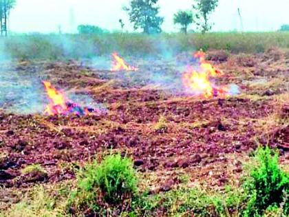 Summer starts in rural areas | ग्रामीण भागात उन्हाळवाहिला सुरूवात