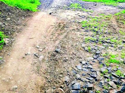 Even after 73 years of independence, there is no road | स्वातंत्र्याच्या ७३ वर्षानंतरही रस्ताच नाही