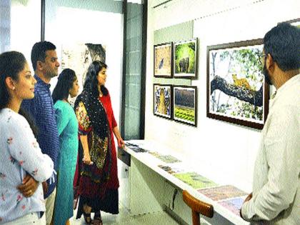  Respond to the 'Viewpoint' photo exhibition | ‘दृष्टिकोन’ छायाचित्र प्रदर्शनास प्रतिसाद