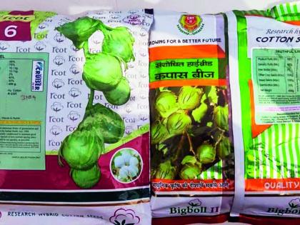Three arrested for selling banned seeds | प्रतिबंधित बियाणे विकणाऱ्या तिघांना केली रंगेहात अटक Three arrested for selling banned seeds | प्रतिबंधित बियाणे विकणाऱ्या तिघांना केली रंगेहात अटक