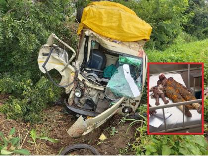 driver fell asleep and the cargo tempo overturned uncontrollably; 10 to 15 passengers seriously injured | चालकाला लागली डुलकी अन् अनियंत्रित मालवाहू उलटली; १० ते १५ प्रवासी गंभीर जखमी