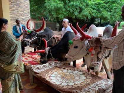 This year, the procession of bulls was canceled | यंदा बैल पोळा मानाच्या मिरवणुका रद्द