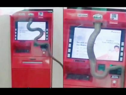 Snake enter the inside atm machine man came to withdraw money video viral | ATM मशीनमध्ये घुसला खतरनाक साप, पैसे काढण्यासाठी आलेल्या व्यक्तीला दिसला आणि....