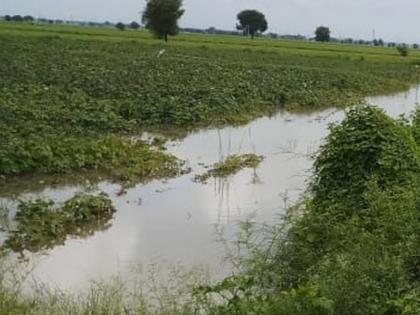 Rains hit 10,000 hectares! | अकोला जिल्ह्यात पावसाचा १0 हजार हेक्टरला तडाखा!