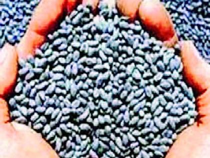Possibility of fraud in home delivery of seeds | बियाण्यांच्या होम डिलिव्हरीत फसवणुकीची शक्यता Possibility of fraud in home delivery of seeds | बियाण्यांच्या होम डिलिव्हरीत फसवणुकीची शक्यता
