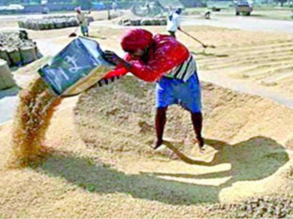 Farmers' paddy at the traders' door | शेतकऱ्यांचा धान व्यापाऱ्यांच्या दारात