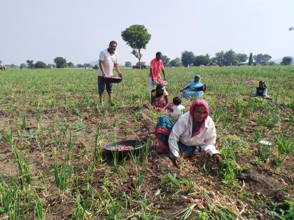  Farmers suffer due to fluctuations in onion market | कांदा बाजारभावातील चढउतारीमुळे शेतकरी त्रस्त