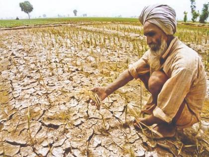 Farmers in Pathre area are worried due to lack of rain | पाथरे परिसरातील शेतकरी पावसाअभावी चिंताग्रस्त