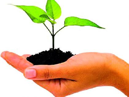 16 lakh saplings available for cultivation | लागवडीसाठी १६ लाख रोपटे उपलब्ध 16 lakh saplings available for cultivation | लागवडीसाठी १६ लाख रोपटे उपलब्ध