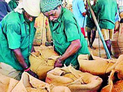 83% vacant posts in tribal corporation! | आदिवासी महामंडळात ८३ टक्के पदे रिक्त ! 83% vacant posts in tribal corporation! | आदिवासी महामंडळात ८३ टक्के पदे रिक्त !