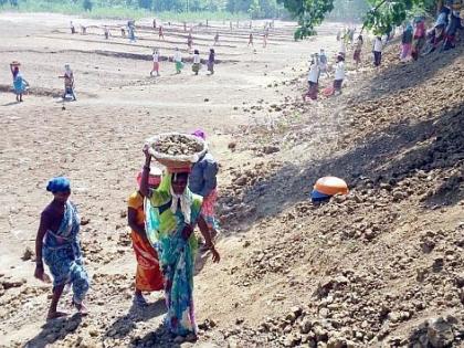 With the initiative of Lok Biradari project in Gadchiroli, work on 25 lakes has been completed | गडचिरोलीत लोकबिरादरी प्रकल्पाच्या पुढाकाराने २५ तलावांचे काम पूर्ण With the initiative of Lok Biradari project in Gadchiroli, work on 25 lakes has been completed | गडचिरोलीत लोकबिरादरी प्रकल्पाच्या पुढाकाराने २५ तलावांचे काम पूर्ण