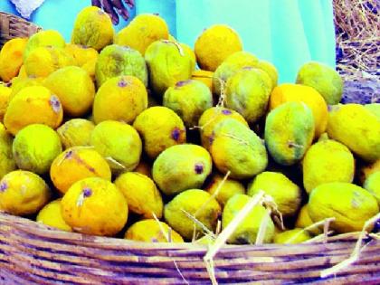 Amrai is extinct, chemically mango market | आमराई लुप्त, रसायनयुक्त आंबा बाजारात