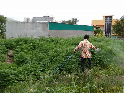 Weedicide spraying from Kharde Gram Panchayat | खर्डे ग्रामपंचायतीकडून तणनाशक फवारणी