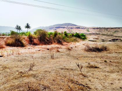 Nej's percolation lake | नेजचा पाझर तलाव झुडपाआड