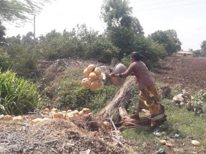 Paddy thrown on the road due to lack of rates | दर नसल्याने डांगरे फेकली रस्त्यावर