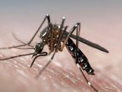 16 squads worked to control dengue | डेंग्यूवर नियंत्रणासाठी 16 पथक कामाला