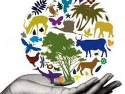 Gramsevakas for 'Biodiversity Register' | जैवविविधता रजिस्टरसाठी ग्रामसेवकांची होतेय ‘कोंडी’