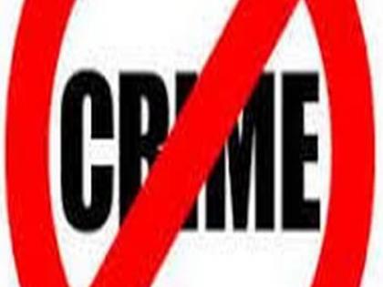 Theft of two and a half thousand chickens from poultry | पोल्ट्रीमधून अडीच हजार कोंबड्यांची चोरी Theft of two and a half thousand chickens from poultry | पोल्ट्रीमधून अडीच हजार कोंबड्यांची चोरी