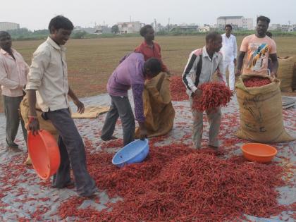 Due to the presence of rain, the purchase of grain and cereal crops with cotton stopped | पावसाच्या हजेरीमुळे कापसासह धान्य व कडधान्य पिकांची खरेदी थांबली