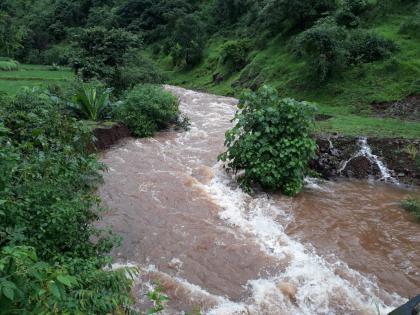 The rains intensified in the western part; One and a half TMC increase in Koyna stock | पश्चिम भागात पावसाचा जोर वाढला; कोयना साठ्यात दीड टीएमसी वाढ