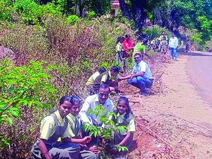 Tigress for the tree! | चिमुकल्यांना वृक्षसंवर्धनाचा ध्यास!